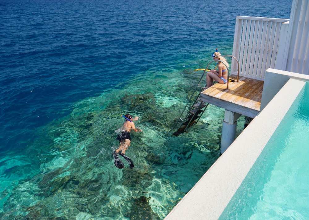 Amilla Fushi, Maldives - dive holidays